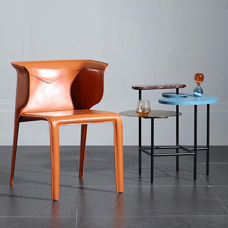 Metal Contemporary Indoor Chair with Leather Legs Matte Finish Side Chair for Dining Room Clearhalo 'Dining Chairs' 'Dining Tables & Seating' 'dining_chair' 'furn' 'furn_dining_chair' 'Furniture' 'furniture_dining_chair' 'Kitchen & Dining Furniture' 4986217