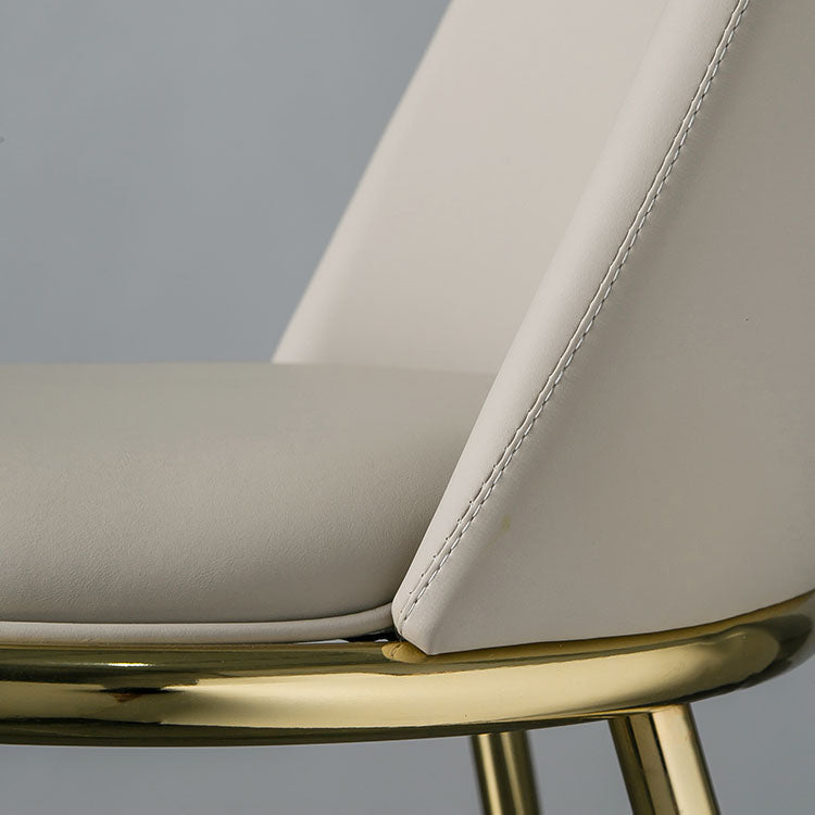 Modern Side Dining Chairs Entryway Dining Chairs for Dining Room Clearhalo 'Dining Chairs' 'Dining Tables & Seating' 'dining_chair' 'furn' 'furn_dining_chair' 'Furniture' 'furniture_dining_chair' 'Kitchen & Dining Furniture' 5004557