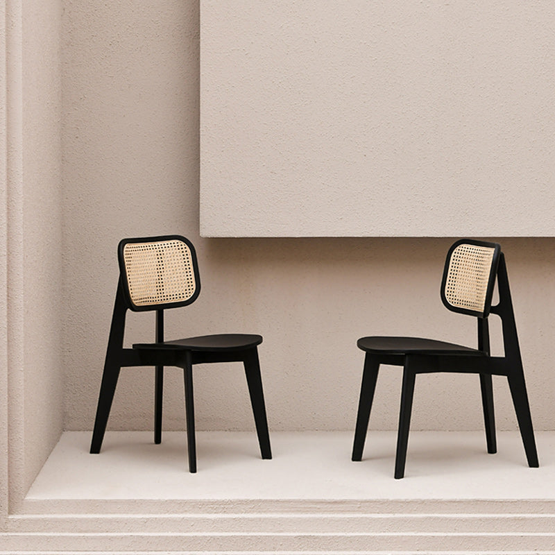 Modern Side Dining Chairs Solid Wood Dining Chairs for Dining Room Clearhalo 'Dining Chairs' 'Dining Tables & Seating' 'dining_chair' 'furn' 'furn_dining_chair' 'Furniture' 'furniture_dining_chair' 'Kitchen & Dining Furniture' 5004674