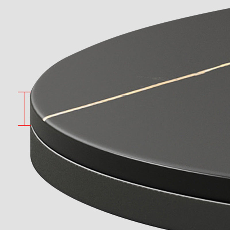 Modern Style Round Black and White Rock Slab Top Coffee Table Clearhalo 'Coffee & Accent Tables' 'Coffee Tables' 'coffee_tables' 'Furniture' 'furniture_coffee_tables' 'Living Room Furniture' 5006440