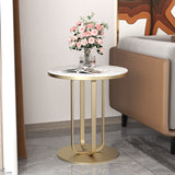 Metal End Table 21.65" Tall Modern Round Pedestal Side Table for Living Room Clearhalo 'Coffee & Accent Tables' 'End & Side Tables' 'end_side_table' 'end_side_tables' 'furn' 'furn_end_side_tables' 'Furniture' 'furniture_end_side_table' 'Living Room Furniture' 5012975