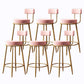Glam Armless Backrest Counter Stool Iron Cushion Bar Stool with and Pedal Pink 6 Piece Set Clearhalo 'Bar Furniture' 'Bar Stools' 'bar_stools' 'furn' 'furn_bar_stools' 'Furniture' 'furniture_bar_stools' 'Kitchen & Dining Furniture' 5018167