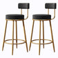 Glam Armless Backrest Counter Stool Iron Cushion Bar Stool with and Pedal Black 2 Piece Set Clearhalo 'Bar Furniture' 'Bar Stools' 'bar_stools' 'furn' 'furn_bar_stools' 'Furniture' 'furniture_bar_stools' 'Kitchen & Dining Furniture' 5018171