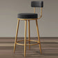 Glam Armless Backrest Counter Stool Iron Cushion Bar Stool with and Pedal Clearhalo 'Bar Furniture' 'Bar Stools' 'bar_stools' 'furn' 'furn_bar_stools' 'Furniture' 'furniture_bar_stools' 'Kitchen & Dining Furniture' 5018185