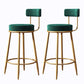 Glam Armless Backrest Counter Stool Iron Cushion Bar Stool with and Pedal Blackish Green 2 Piece Set Clearhalo 'Bar Furniture' 'Bar Stools' 'bar_stools' 'furn' 'furn_bar_stools' 'Furniture' 'furniture_bar_stools' 'Kitchen & Dining Furniture' 5018187