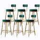 Glam Armless Backrest Counter Stool Iron Cushion Bar Stool with and Pedal Blackish Green 6 Piece Set Clearhalo 'Bar Furniture' 'Bar Stools' 'bar_stools' 'furn' 'furn_bar_stools' 'Furniture' 'furniture_bar_stools' 'Kitchen & Dining Furniture' 5018189