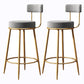 Glam Armless Backrest Counter Stool Iron Cushion Bar Stool with and Pedal Grey 2 Piece Set Clearhalo 'Bar Furniture' 'Bar Stools' 'bar_stools' 'furn' 'furn_bar_stools' 'Furniture' 'furniture_bar_stools' 'Kitchen & Dining Furniture' 5018191