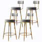 Glam Armless Backrest Counter Stool Iron Cushion Bar Stool with and Pedal Grey 4 Piece Set Clearhalo 'Bar Furniture' 'Bar Stools' 'bar_stools' 'furn' 'furn_bar_stools' 'Furniture' 'furniture_bar_stools' 'Kitchen & Dining Furniture' 5018192
