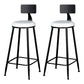 Modern Armless Backrest Counter Stool Iron Kitchen Bar Stool with Cushion White 2 Piece Set Clearhalo 'Bar Furniture' 'Bar Stools' 'bar_stools' 'furn' 'furn_bar_stools' 'Furniture' 'furniture_bar_stools' 'Kitchen & Dining Furniture' 5018549