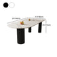 Modern Sintered Stone Dining Table Set 1/2/5 Pieces Dining Set Clearhalo 'Dining Room Sets' 'Dining Tables & Seating' 'dining_room_set' 'furn' 'furn_dining_room_set' 'Furniture' 'furniture_dining_room_set' 'Kitchen & Dining Furniture' 5018925