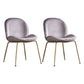 Glam Style Dining Chair Upholstered Dining Side Chair for Dining Room Grey-Gold 2 Piece Set Clearhalo 'Dining Chairs' 'Dining Tables & Seating' 'dining_chair' 'furn' 'furn_dining_chair' 'Furniture' 'furniture_dining_chair' 'Kitchen & Dining Furniture' 5020057