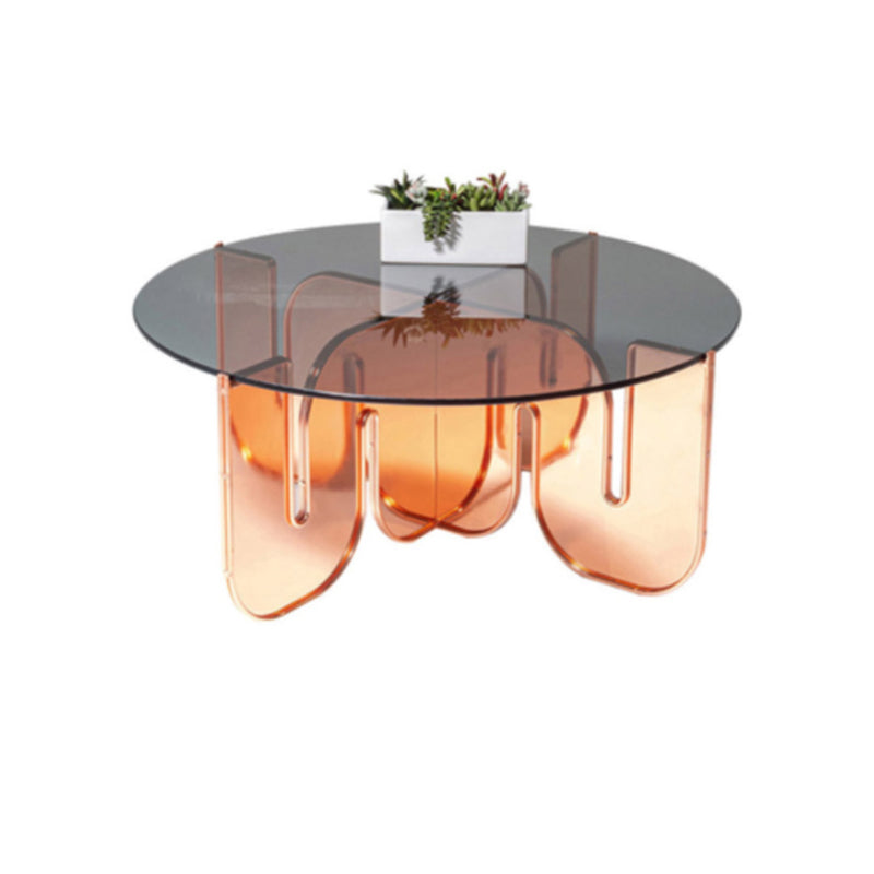 Round Acrylic Material Abstract Base Type Multi Color Selection Coffee Table Clearhalo 'Coffee & Accent Tables' 'Coffee Tables' 'coffee_tables' 'furn' 'furn_coffee_tables' 'Furniture' 'furniture_coffee_tables' 'Living Room Furniture' 5028278