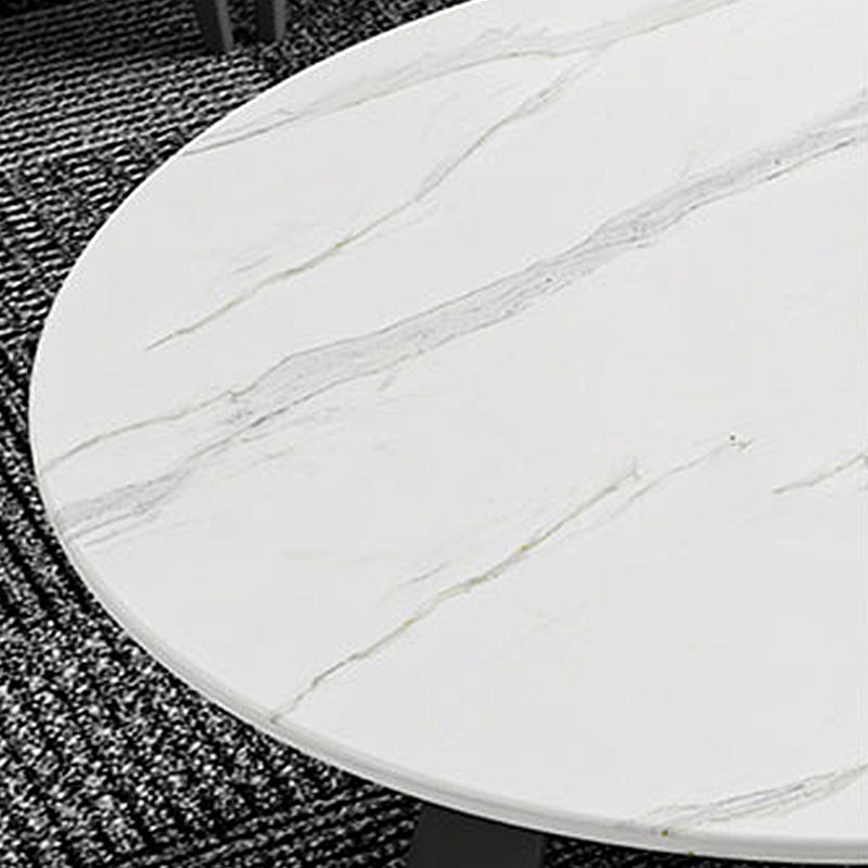 Modern Fixed Top Coffee Table Round Steel Abstract Cocktail Table Clearhalo 'Coffee & Accent Tables' 'Coffee Tables' 'coffee_tables' 'furn' 'furn_coffee_tables' 'Furniture' 'furniture_coffee_tables' 'Living Room Furniture' 5028319