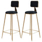 Nordic Armless Backrest Counter Stool Iron Cafe Bar Stool with Pedal and Velvet Cushion Black 2 Piece Set Clearhalo 'Bar Furniture' 'Bar Stools' 'bar_stools' 'furn' 'furn_bar_stools' 'Furniture' 'furniture_bar_stools' 'Kitchen & Dining Furniture' 5031473