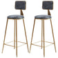 Nordic Armless Backrest Counter Stool Iron Cafe Bar Stool with Pedal and Velvet Cushion Gray 2 Piece Set Clearhalo 'Bar Furniture' 'Bar Stools' 'bar_stools' 'furn' 'furn_bar_stools' 'Furniture' 'furniture_bar_stools' 'Kitchen & Dining Furniture' 5031481