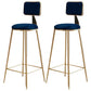 Nordic Armless Backrest Counter Stool Iron Cafe Bar Stool with Pedal and Velvet Cushion Blue 2 Piece Set Clearhalo 'Bar Furniture' 'Bar Stools' 'bar_stools' 'furn' 'furn_bar_stools' 'Furniture' 'furniture_bar_stools' 'Kitchen & Dining Furniture' 5031497