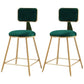Nordic Armless Backrest Counter Stool Iron Cafe Bar Stool with Pedal and Velvet Cushion Green 2 Piece Set Short Stool(18"H) Clearhalo 'Bar Furniture' 'Bar Stools' 'bar_stools' 'furn' 'furn_bar_stools' 'Furniture' 'furniture_bar_stools' 'Kitchen & Dining Furniture' 5031525