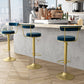 Glam Liftable Backrest Counter Stool Steel Kitchen Bar Stool with Cushion and Pedal Clearhalo 'Bar Furniture' 'Bar Stools' 'bar_stools' 'furn' 'furn_bar_stools' 'Furniture' 'furniture_bar_stools' 'Kitchen & Dining Furniture' 5031781