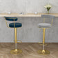 Glam Liftable Backrest Counter Stool Steel Kitchen Bar Stool with Cushion and Pedal Clearhalo 'Bar Furniture' 'Bar Stools' 'bar_stools' 'furn' 'furn_bar_stools' 'Furniture' 'furniture_bar_stools' 'Kitchen & Dining Furniture' 5031792