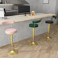 Glam Liftable Backrest Counter Stool Steel Kitchen Bar Stool with Cushion and Pedal Clearhalo 'Bar Furniture' 'Bar Stools' 'bar_stools' 'furn' 'furn_bar_stools' 'Furniture' 'furniture_bar_stools' 'Kitchen & Dining Furniture' 5031794