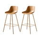 Contemporary Bar-stool Plastic Counter Bar Stool with Metal Legs for Home Yellow 2 Piece Set Clearhalo 'Bar Furniture' 'Bar Stools' 'bar_stools' 'furn' 'furn_bar_stools' 'Furniture' 'furniture_bar_stools' 'Kitchen & Dining Furniture' 5031835