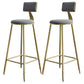 Nordic Armless Backrest Counter Stool Iron Dining Room Bar Stool with Cushion and Pedal Gray 2 Piece Set Clearhalo 'Bar Furniture' 'Bar Stools' 'bar_stools' 'furn' 'furn_bar_stools' 'Furniture' 'furniture_bar_stools' 'Kitchen & Dining Furniture' 5032123