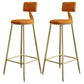 Nordic Armless Backrest Counter Stool Iron Dining Room Bar Stool with Cushion and Pedal Orange 2 Piece Set Clearhalo 'Bar Furniture' 'Bar Stools' 'bar_stools' 'furn' 'furn_bar_stools' 'Furniture' 'furniture_bar_stools' 'Kitchen & Dining Furniture' 5032146