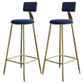 Nordic Armless Backrest Counter Stool Iron Dining Room Bar Stool with Cushion and Pedal Blue 2 Piece Set Clearhalo 'Bar Furniture' 'Bar Stools' 'bar_stools' 'furn' 'furn_bar_stools' 'Furniture' 'furniture_bar_stools' 'Kitchen & Dining Furniture' 5032150