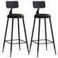 Industrial Dessert Shop Low Back Stool Matte Finish Upholstered Bar Stools Black 2 Piece Set Bar Stool(30"H) Clearhalo 'Bar Furniture' 'Bar Stools' 'bar_stools' 'furn' 'furn_bar_stools' 'Furniture' 'furniture_bar_stools' 'Kitchen & Dining Furniture' 5032255