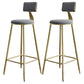 Nordic Armless Backrest Counter Stool Iron Dessert Shop Bar Stool with Velvet Cushion Gray 2 Piece Set Clearhalo 'Bar Furniture' 'Bar Stools' 'bar_stools' 'furn' 'furn_bar_stools' 'Furniture' 'furniture_bar_stools' 'Kitchen & Dining Furniture' 5032298