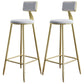 Nordic Armless Backrest Counter Stool Iron Dessert Shop Bar Stool with Velvet Cushion White 2 Piece Set Clearhalo 'Bar Furniture' 'Bar Stools' 'bar_stools' 'furn' 'furn_bar_stools' 'Furniture' 'furniture_bar_stools' 'Kitchen & Dining Furniture' 5032306