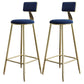 Nordic Armless Backrest Counter Stool Iron Dessert Shop Bar Stool with Velvet Cushion Blue 2 Piece Set Clearhalo 'Bar Furniture' 'Bar Stools' 'bar_stools' 'furn' 'furn_bar_stools' 'Furniture' 'furniture_bar_stools' 'Kitchen & Dining Furniture' 5032325