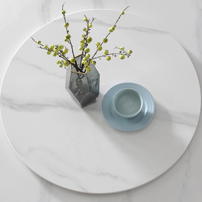 Metal Glam Style Round Dining Table Sintered Stone Top Table for Dining Room Clearhalo 'Dining Tables & Seating' 'Dining Tables' 'dining_table' 'furn' 'furn_dining_table' 'Furniture' 'furniture_dining_table' 'Kitchen & Dining Furniture' 'kitchen' 'kitchen_dining_table' 5032908