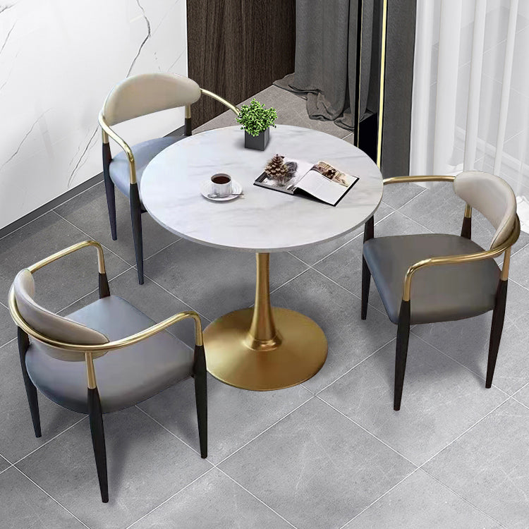 Glam Style Arm Chair Open Back Indoor Dining Chair (Set of 2/4) Clearhalo 'Dining Chairs' 'Dining Tables & Seating' 'dining_chair' 'furn' 'furn_dining_chair' 'Furniture' 'furniture_dining_chair' 'Kitchen & Dining Furniture' 5033629