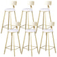 Glam Armless Backrest Counter Stool Iron Kitchen Bar Stool with Leather Cushion and Pedal White 6 Piece Set Clearhalo 'Bar Furniture' 'Bar Stools' 'bar_stools' 'furn' 'furn_bar_stools' 'Furniture' 'furniture_bar_stools' 'Kitchen & Dining Furniture' 5042193