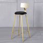 Glam Armless Backrest Counter Stool Iron Kitchen Bar Stool with Leather Cushion and Pedal Clearhalo 'Bar Furniture' 'Bar Stools' 'bar_stools' 'furn' 'furn_bar_stools' 'Furniture' 'furniture_bar_stools' 'Kitchen & Dining Furniture' 5042198