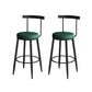 Industrial Style Bar-stool Metal Counter Bar Stool for Restaurant Green 2 Piece Set Clearhalo 'Bar Furniture' 'Bar Stools' 'bar_stools' 'furn' 'furn_bar_stools' 'Furniture' 'furniture_bar_stools' 'Kitchen & Dining Furniture' 5042426