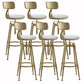 Glam Liftable Rotatable Counter Stool Iron Cafe Bar Stool with Cushion and Pedal White With Back 6 Piece Set Clearhalo 'Bar Furniture' 'Bar Stools' 'bar_stools' 'furn' 'furn_bar_stools' 'Furniture' 'furniture_bar_stools' 'Kitchen & Dining Furniture' 5042534