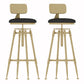 Glam Liftable Rotatable Counter Stool Iron Cafe Bar Stool with Cushion and Pedal Black With Back 2 Piece Set Clearhalo 'Bar Furniture' 'Bar Stools' 'bar_stools' 'furn' 'furn_bar_stools' 'Furniture' 'furniture_bar_stools' 'Kitchen & Dining Furniture' 5042536
