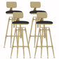Glam Liftable Rotatable Counter Stool Iron Cafe Bar Stool with Cushion and Pedal Black With Back 4 Piece Set Clearhalo 'Bar Furniture' 'Bar Stools' 'bar_stools' 'furn' 'furn_bar_stools' 'Furniture' 'furniture_bar_stools' 'Kitchen & Dining Furniture' 5042537