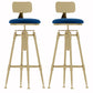 Glam Liftable Rotatable Counter Stool Iron Cafe Bar Stool with Cushion and Pedal Blue With Back 2 Piece Set Clearhalo 'Bar Furniture' 'Bar Stools' 'bar_stools' 'furn' 'furn_bar_stools' 'Furniture' 'furniture_bar_stools' 'Kitchen & Dining Furniture' 5042540