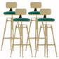 Glam Liftable Rotatable Counter Stool Iron Cafe Bar Stool with Cushion and Pedal Green With Back 4 Piece Set Clearhalo 'Bar Furniture' 'Bar Stools' 'bar_stools' 'furn' 'furn_bar_stools' 'Furniture' 'furniture_bar_stools' 'Kitchen & Dining Furniture' 5042545