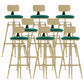 Glam Liftable Rotatable Counter Stool Iron Cafe Bar Stool with Cushion and Pedal Green With Back 8 Piece Set Clearhalo 'Bar Furniture' 'Bar Stools' 'bar_stools' 'furn' 'furn_bar_stools' 'Furniture' 'furniture_bar_stools' 'Kitchen & Dining Furniture' 5042547