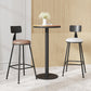 Modern Armless Backrest Counter Stool Iron Cafe Bar Stool with Leather Cushion Clearhalo 'Bar Furniture' 'Bar Stools' 'bar_stools' 'furn' 'furn_bar_stools' 'Furniture' 'furniture_bar_stools' 'Kitchen & Dining Furniture' 5042691