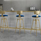 Glam Rotatable Liftable Counter Stool Iron Cafe Bar Stool with Cushion and Pedal Clearhalo 'Bar Furniture' 'Bar Stools' 'bar_stools' 'furn' 'furn_bar_stools' 'Furniture' 'furniture_bar_stools' 'Kitchen & Dining Furniture' 5042793