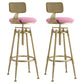 Glam Rotatable Liftable Counter Stool Iron Cafe Bar Stool with Cushion and Pedal Pink With Back 2 Piece Set Clearhalo 'Bar Furniture' 'Bar Stools' 'bar_stools' 'furn' 'furn_bar_stools' 'Furniture' 'furniture_bar_stools' 'Kitchen & Dining Furniture' 5042807