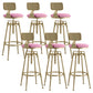Glam Rotatable Liftable Counter Stool Iron Cafe Bar Stool with Cushion and Pedal Pink With Back 6 Piece Set Clearhalo 'Bar Furniture' 'Bar Stools' 'bar_stools' 'furn' 'furn_bar_stools' 'Furniture' 'furniture_bar_stools' 'Kitchen & Dining Furniture' 5042812