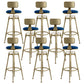 Glam Rotatable Liftable Counter Stool Iron Cafe Bar Stool with Cushion and Pedal Blue With Back 8 Piece Set Clearhalo 'Bar Furniture' 'Bar Stools' 'bar_stools' 'furn' 'furn_bar_stools' 'Furniture' 'furniture_bar_stools' 'Kitchen & Dining Furniture' 5042817