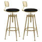 Glam Rotatable Liftable Counter Stool Iron Cafe Bar Stool with Cushion and Pedal Black With Back 2 Piece Set Clearhalo 'Bar Furniture' 'Bar Stools' 'bar_stools' 'furn' 'furn_bar_stools' 'Furniture' 'furniture_bar_stools' 'Kitchen & Dining Furniture' 5042822