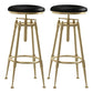 Glam Rotatable Liftable Counter Stool Iron Cafe Bar Stool with Cushion and Pedal Black Backless 2 Piece Set Clearhalo 'Bar Furniture' 'Bar Stools' 'bar_stools' 'furn' 'furn_bar_stools' 'Furniture' 'furniture_bar_stools' 'Kitchen & Dining Furniture' 5042826